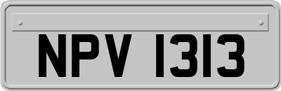 NPV1313