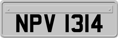 NPV1314