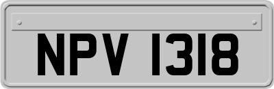 NPV1318