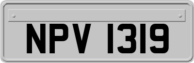 NPV1319