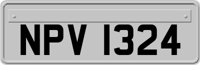 NPV1324