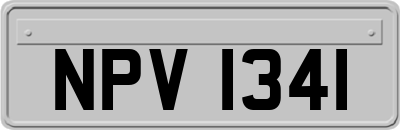 NPV1341