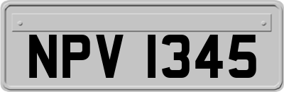 NPV1345