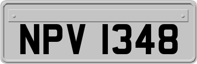 NPV1348