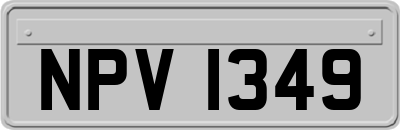 NPV1349