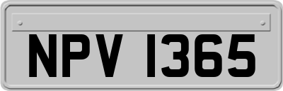NPV1365