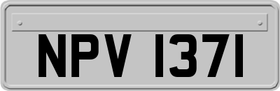 NPV1371
