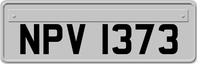 NPV1373