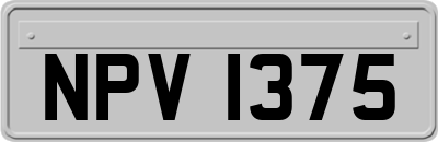 NPV1375