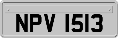 NPV1513
