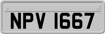 NPV1667