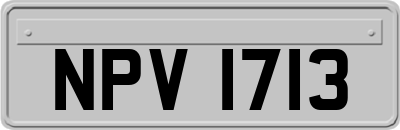 NPV1713