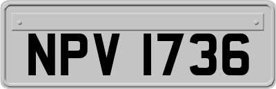 NPV1736