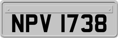 NPV1738
