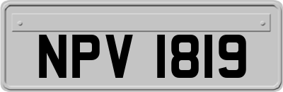 NPV1819