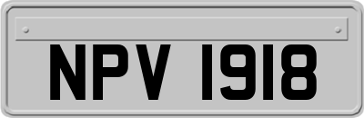NPV1918
