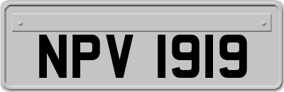 NPV1919