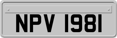 NPV1981
