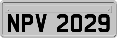 NPV2029