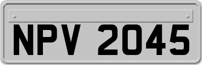 NPV2045