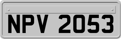NPV2053
