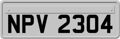 NPV2304