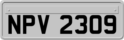 NPV2309
