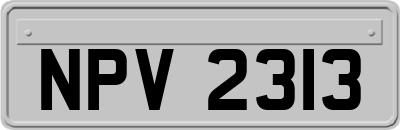 NPV2313
