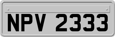 NPV2333