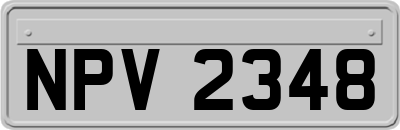 NPV2348