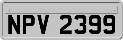NPV2399