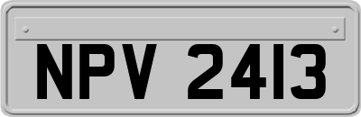 NPV2413