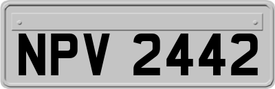 NPV2442