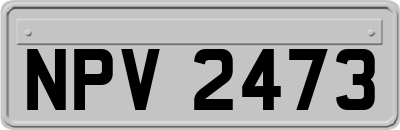 NPV2473