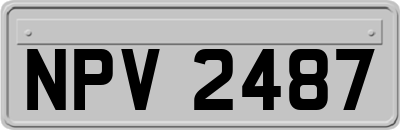 NPV2487