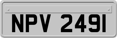 NPV2491