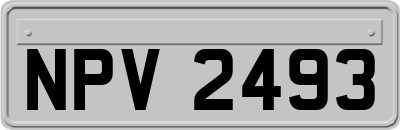 NPV2493