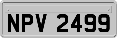 NPV2499