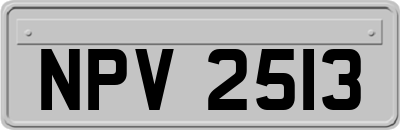 NPV2513
