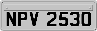 NPV2530