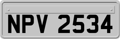 NPV2534