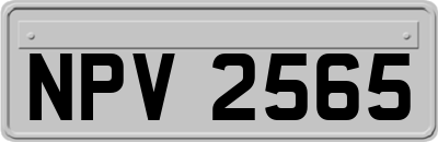 NPV2565