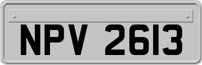 NPV2613