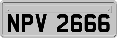 NPV2666