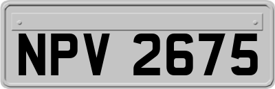 NPV2675