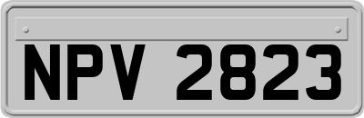 NPV2823