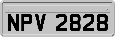 NPV2828