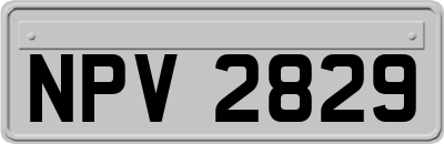 NPV2829