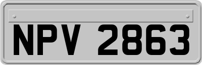 NPV2863