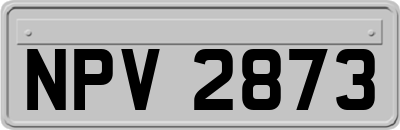 NPV2873